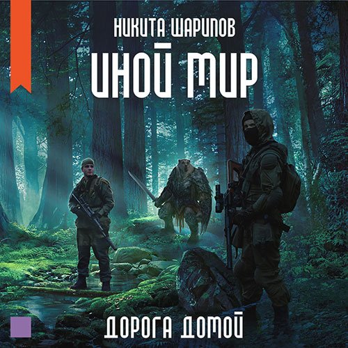 Шарипов Никита. Иной мир. Дорога домой (Аудиокнига)