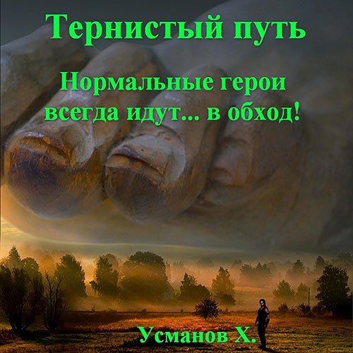 Усманов Хайдарали. Тернистый путь. Нормальные герои всегда идут… в обход! (Аудиокнига)